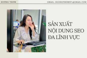 SẢN XUẤT NỘI DUNG SEO ĐA LĨNH VỰC